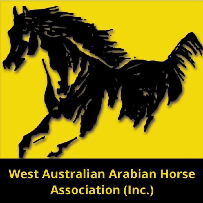 Arabian Breed Classic